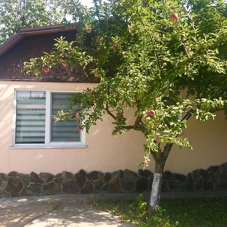 Apartments With Kitchen And Garden Kiev Extérieur photo