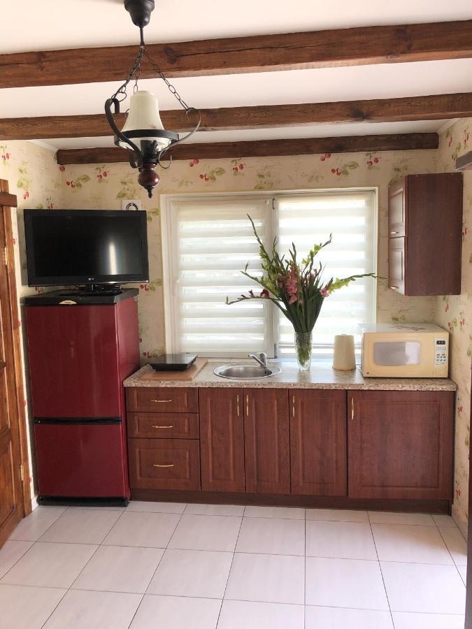 Apartments With Kitchen And Garden Kiev Extérieur photo