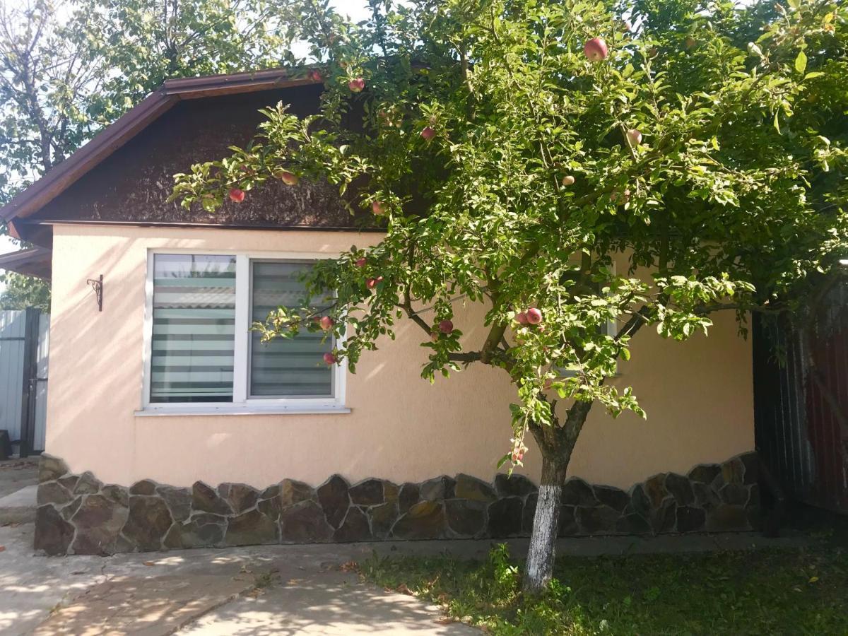 Apartments With Kitchen And Garden Kiev Extérieur photo